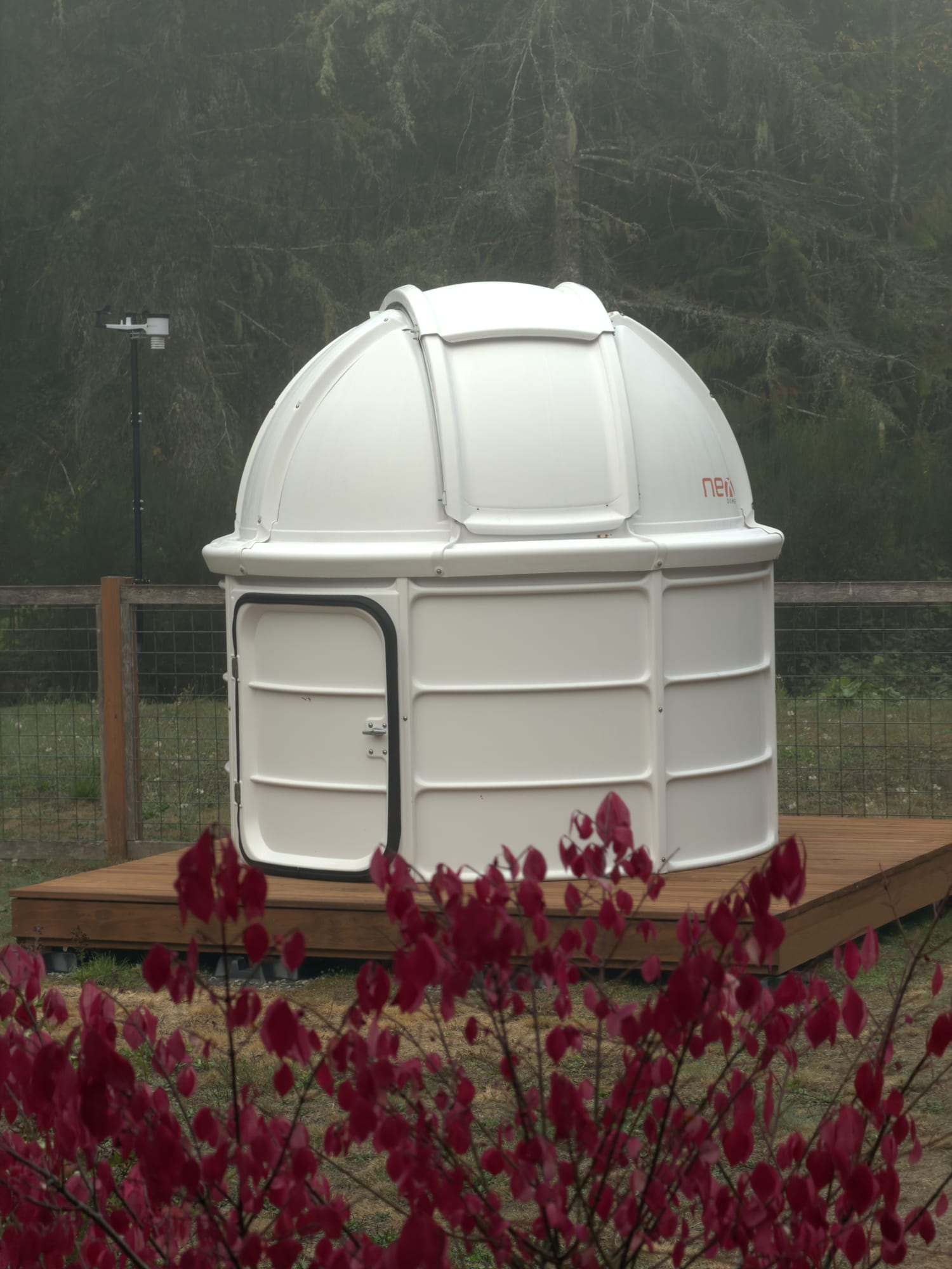 A white ABS observatory dome, door and shutter closed, on a low wooden deck in front of a stand of conifers, with red shrub leaves in the foreground.
